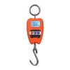 Digital Crane Scale 200kg