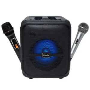 Brodu BTS-1740 8 inch karaoke Bluetooth speaker with dual wireless microphones in Sri Lanka