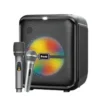 Brodu BTS-1740 8 inch karaoke Bluetooth speaker with dual wireless microphones in Sri Lanka