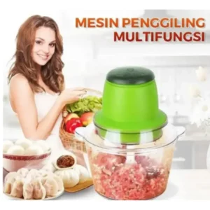 Multi-function electric food grinder stainless steel blender for Sri Lankan kitchen