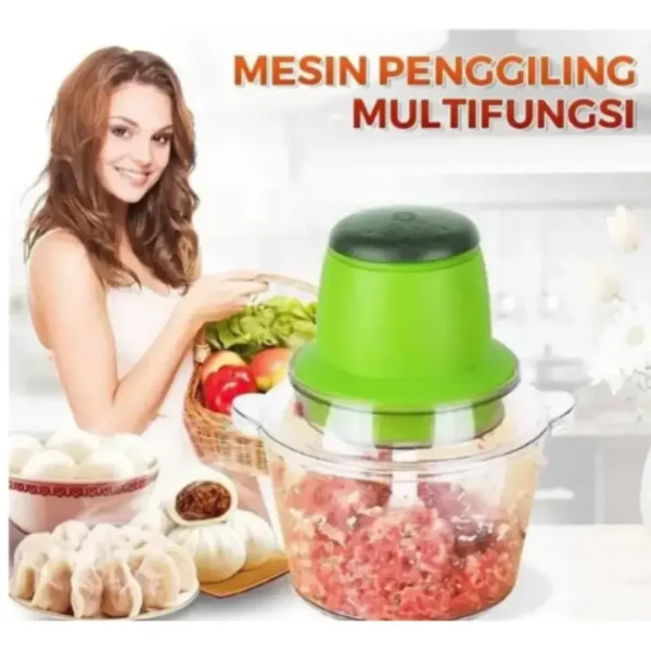 Multi-function electric food grinder stainless steel blender for Sri Lankan kitchen